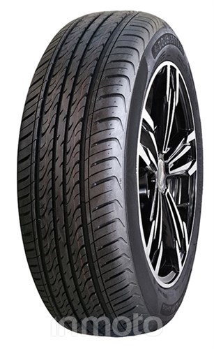 Double Star DH02 195/65R15 91 V