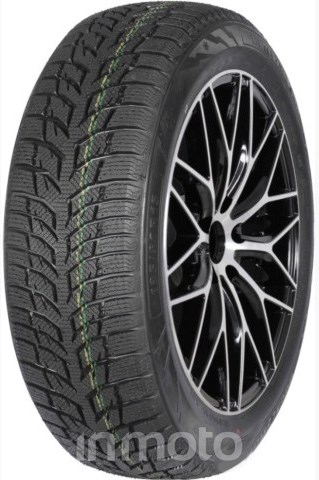Autogreen Snow Chaser 2 AW08 195/55R16 87 H